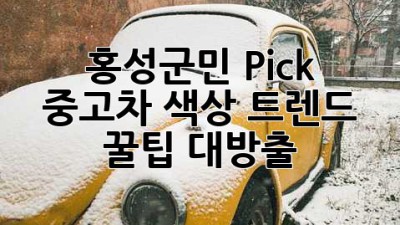 홍성군민 Pick! ✨ 중고차 색상 트렌드 & 꿀팁 대방출 🚗💨