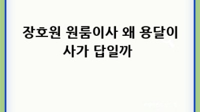 원룸이사 고민 끝! 🚚 이천 장호원 용달이사 예약 꿀팁 대방출 ✨